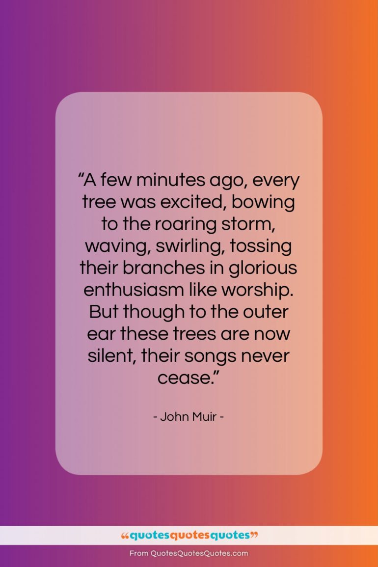 John Muir quote: “A few minutes ago, every tree was…”- at QuotesQuotesQuotes.com