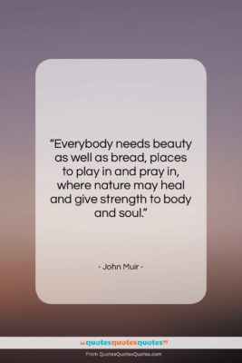 John Muir quote: “Everybody needs beauty as well as bread,…”- at QuotesQuotesQuotes.com
