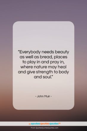 John Muir quote: “Everybody needs beauty as well as bread,…”- at QuotesQuotesQuotes.com