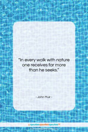 John Muir quote: “In every walk with nature one receives…”- at QuotesQuotesQuotes.com
