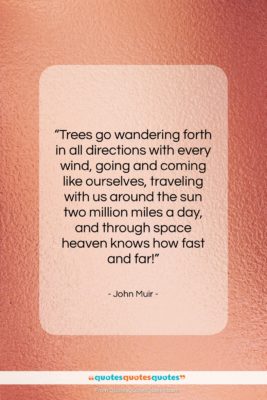 John Muir quote: “Trees go wandering forth in all directions…”- at QuotesQuotesQuotes.com