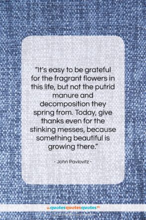 John Pavlovitz quote: “It’s easy to be grateful for…”- at QuotesQuotesQuotes.com