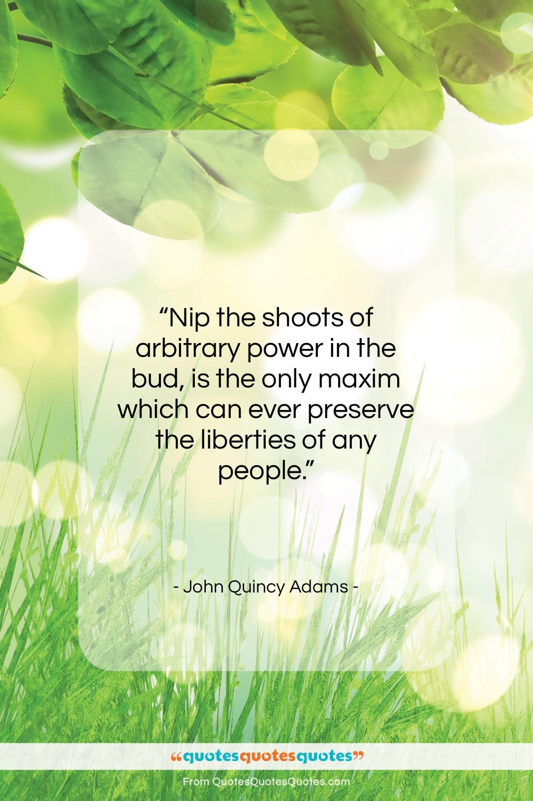 John Quincy Adams quote: “Nip the shoots of arbitrary power in…”- at QuotesQuotesQuotes.com