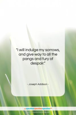 Joseph Addison quote: “I will indulge my sorrows, and give…”- at QuotesQuotesQuotes.com
