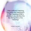 Joseph Campbell quote: “Life is without meaning. You bring the…”- at QuotesQuotesQuotes.com