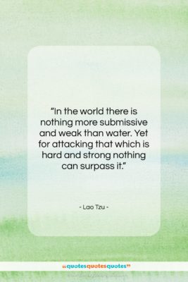 Lao Tzu quote: “In the world there is nothing more…”- at QuotesQuotesQuotes.com