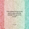 Lao Tzu quote: “The softest things in the world overcome…”- at QuotesQuotesQuotes.com