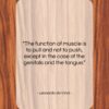 Leonardo da Vinci quote: “The function of muscle is to pull…”- at QuotesQuotesQuotes.com