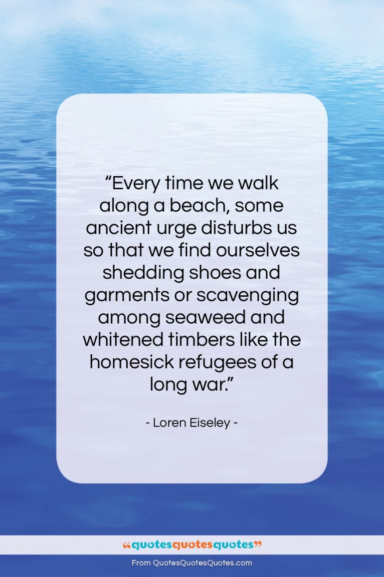 Loren Eiseley quote: “Every time we walk along a beach,…”- at QuotesQuotesQuotes.com