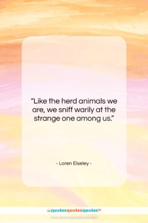 Loren Eiseley quote: “Like the herd animals we are, we…”- at QuotesQuotesQuotes.com