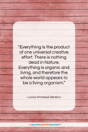 Lucius Annaeus Seneca quote: “Everything is the product of one universal…”- at QuotesQuotesQuotes.com