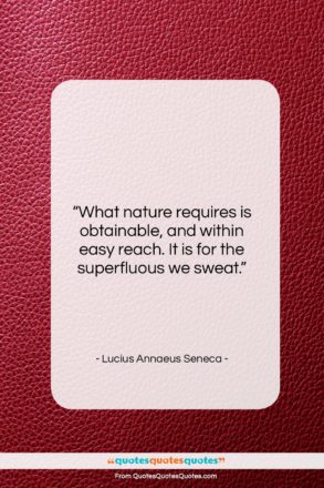 Lucius Annaeus Seneca quote: “What nature requires is obtainable, and within…”- at QuotesQuotesQuotes.com