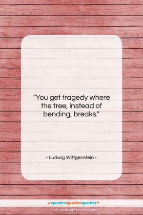 Ludwig Wittgenstein quote: “You get tragedy where the tree, instead…”- at QuotesQuotesQuotes.com