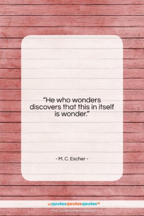 M. C. Escher quote: “He who wonders discovers that this in…”- at QuotesQuotesQuotes.com