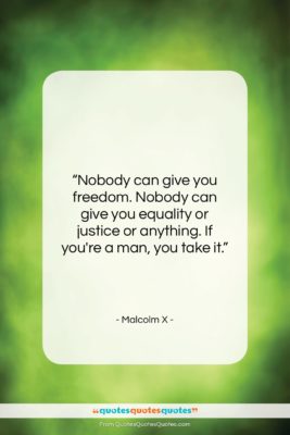 Malcolm X quote: “Nobody can give you freedom. Nobody can…”- at QuotesQuotesQuotes.com
