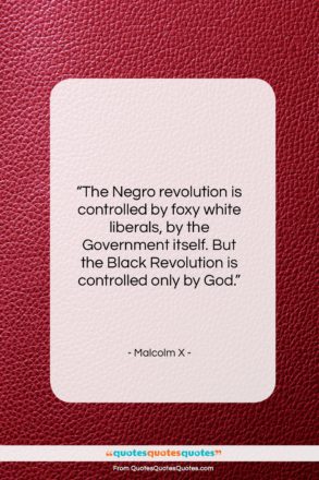Malcolm X quote: “The Negro revolution is controlled by foxy…”- at QuotesQuotesQuotes.com