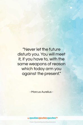 Marcus Aurelius quote: “Never let the future disturb you. You…”- at QuotesQuotesQuotes.com