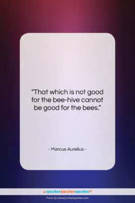 Marcus Aurelius quote: “That which is not good for the…”- at QuotesQuotesQuotes.com