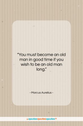 Marcus Aurelius quote: “You must become an old man in…”- at QuotesQuotesQuotes.com