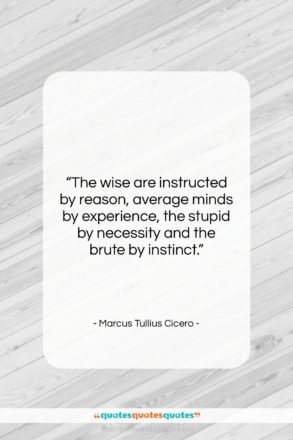 Marcus Tullius Cicero quote: “The wise are instructed by reason, average…”- at QuotesQuotesQuotes.com