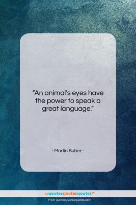 Martin Buber quote: “An animal’s eyes have the power to…”- at QuotesQuotesQuotes.com