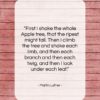 Martin Luther quote: “First I shake the whole Apple tree,…”- at QuotesQuotesQuotes.com