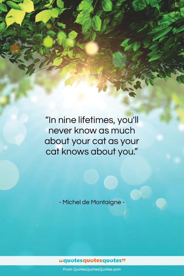 Michel de Montaigne quote: “In nine lifetimes, you’ll never know as…”- at QuotesQuotesQuotes.com