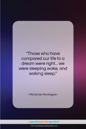 Michel de Montaigne quote: “Those who have compared our life to…”- at QuotesQuotesQuotes.com