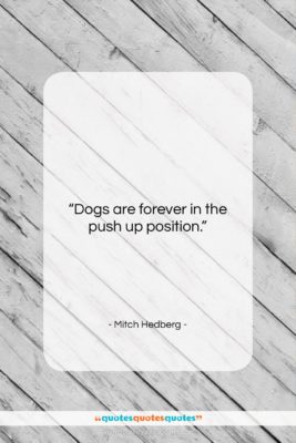 Mitch Hedberg quote: “Dogs are forever in the push up…”- at QuotesQuotesQuotes.com
