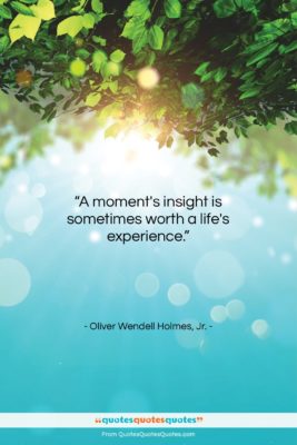 Oliver Wendell Holmes, Jr. quote: “A moment’s insight is sometimes worth a…”- at QuotesQuotesQuotes.com