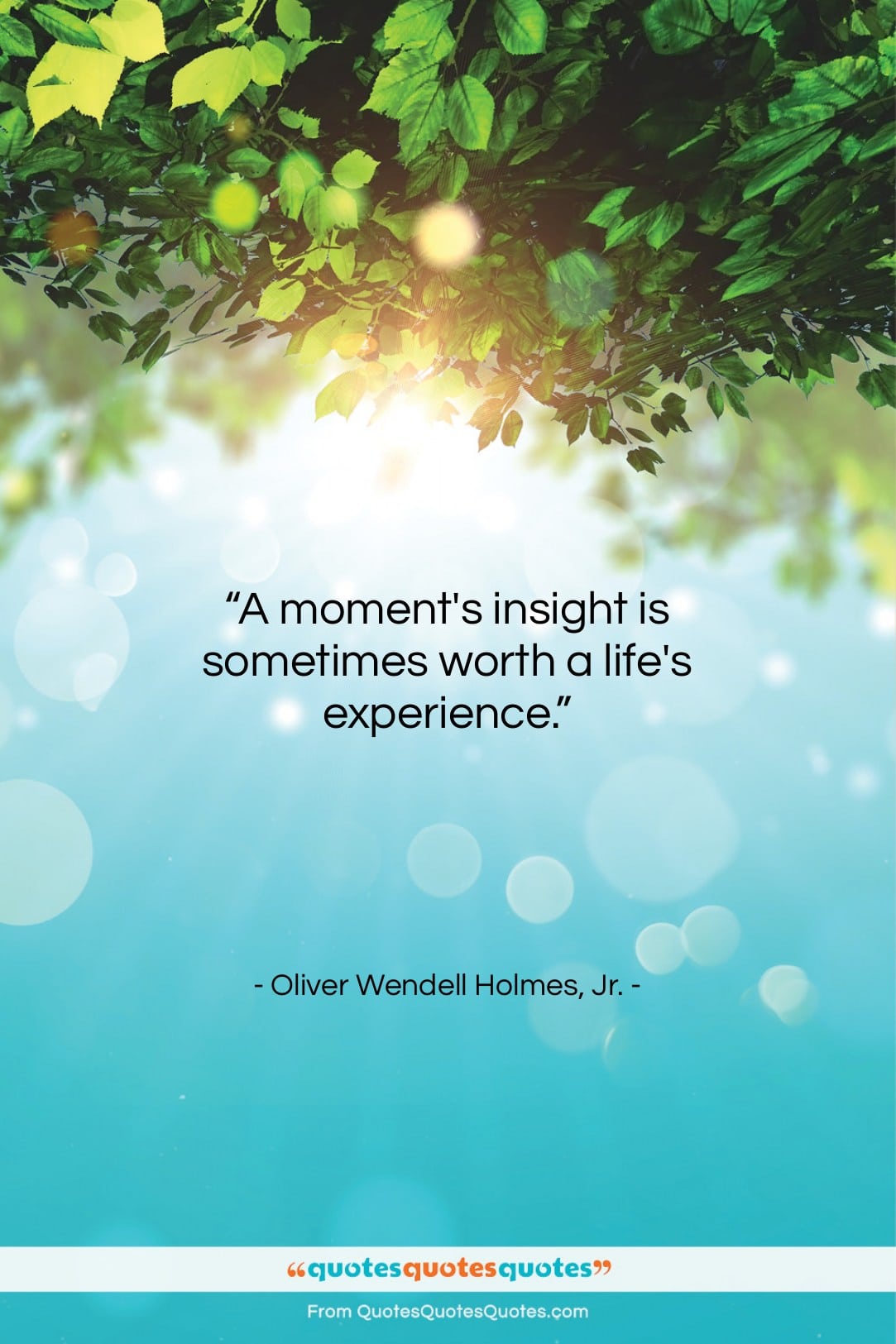 Oliver Wendell Holmes, Jr. quote: “A moment’s insight is sometimes worth a…”- at QuotesQuotesQuotes.com