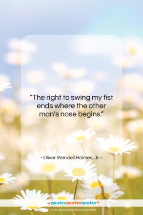 Oliver Wendell Holmes, Jr. quote: “The right to swing my fist ends…”- at QuotesQuotesQuotes.com