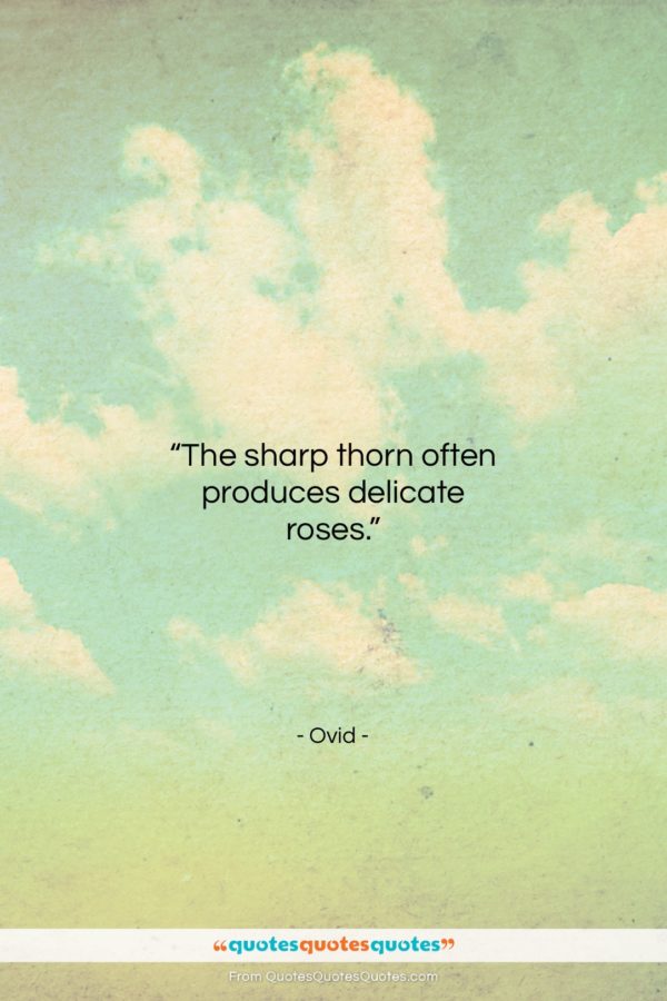 Ovid quote: “The sharp thorn often produces delicate roses…”- at QuotesQuotesQuotes.com