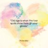 Phyllis Diller quote: “Old age is when the liver spots…”- at QuotesQuotesQuotes.com
