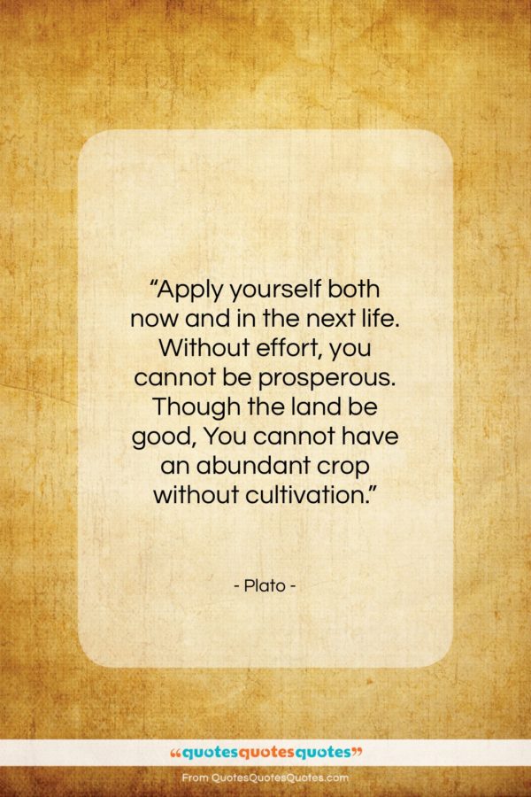 Plato quote: “Apply yourself both now and in the…”- at QuotesQuotesQuotes.com