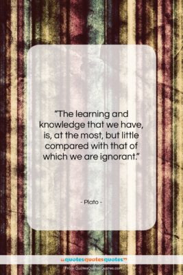 Plato quote: “The learning and knowledge that we have,…”- at QuotesQuotesQuotes.com