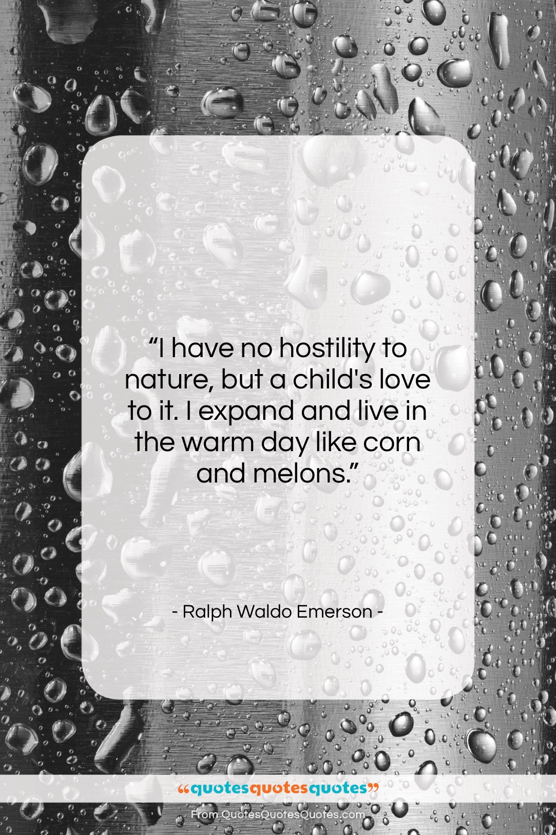 Ralph Waldo Emerson quote: “I have no hostility to nature, but…”- at QuotesQuotesQuotes.com