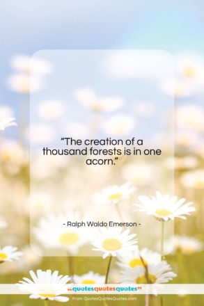 Ralph Waldo Emerson quote: “The creation of a thousand forests is…”- at QuotesQuotesQuotes.com