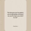 Ray Kroc quote: “As long as you’re green, you’re growing…”- at QuotesQuotesQuotes.com