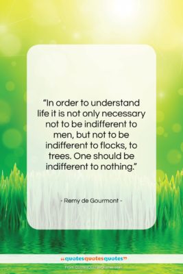 Remy de Gourmont quote: “In order to understand life it is…”- at QuotesQuotesQuotes.com