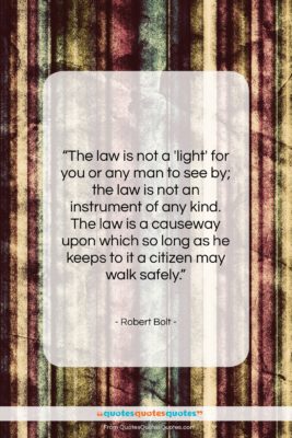 Robert Bolt quote: “The law is not a ‘light’ for…”- at QuotesQuotesQuotes.com