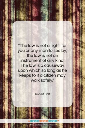 Robert Bolt quote: “The law is not a ‘light’ for…”- at QuotesQuotesQuotes.com