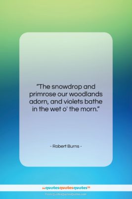 Robert Burns quote: “The snowdrop and primrose our woodlands adorn,…”- at QuotesQuotesQuotes.com
