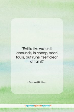 Samuel Butler quote: “Evil is like water, it abounds, is…”- at QuotesQuotesQuotes.com