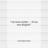 Sarah Bernhardt quote: “I do love cricket — it’s so…”- at QuotesQuotesQuotes.com