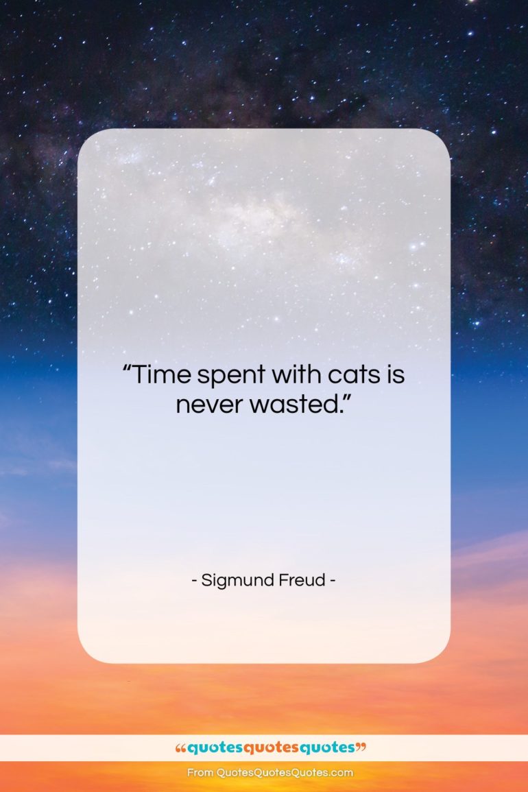 Sigmund Freud quote: “Time spent with cats is never wasted….”- at QuotesQuotesQuotes.com