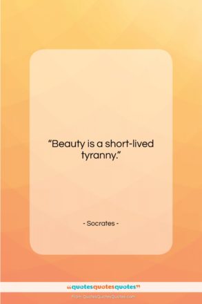 Socrates quote: “Beauty is a short-lived tyranny…”- at QuotesQuotesQuotes.com