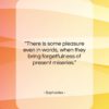Sophocles quote: “There is some pleasure even in words,…”- at QuotesQuotesQuotes.com