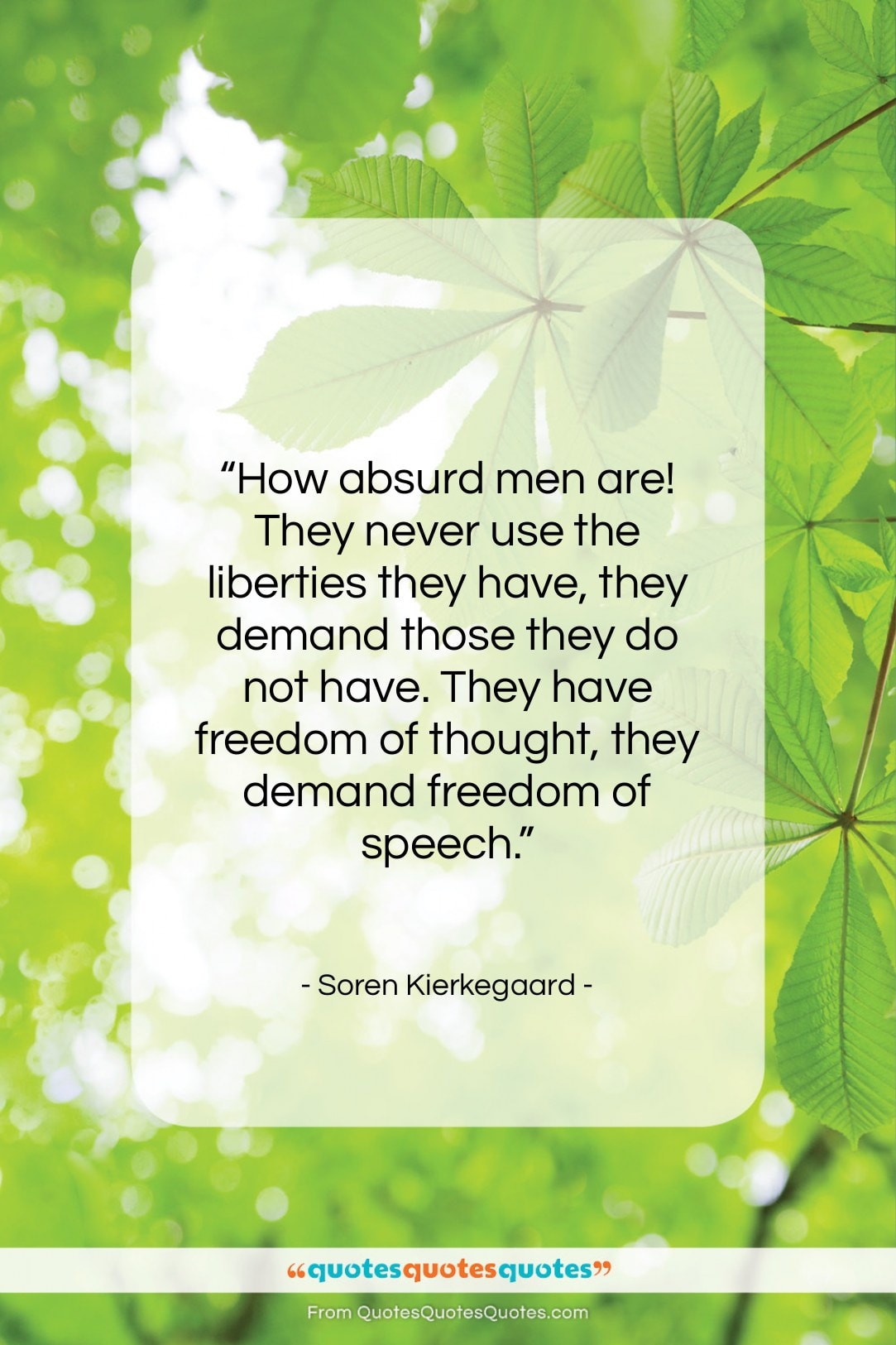 Soren Kierkegaard quote: “How absurd men are! They never use…”- at QuotesQuotesQuotes.com