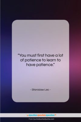 Stanislaw Lec quote: “You must first have a lot of…”- at QuotesQuotesQuotes.com